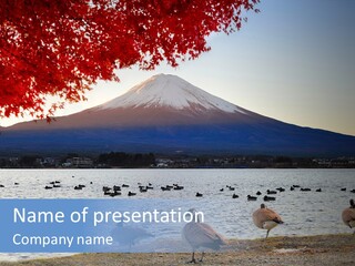 White Water Nature PowerPoint Template
