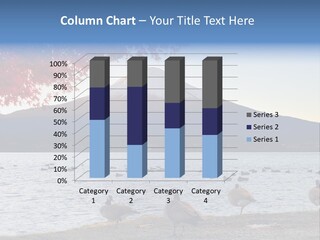 White Water Nature PowerPoint Template