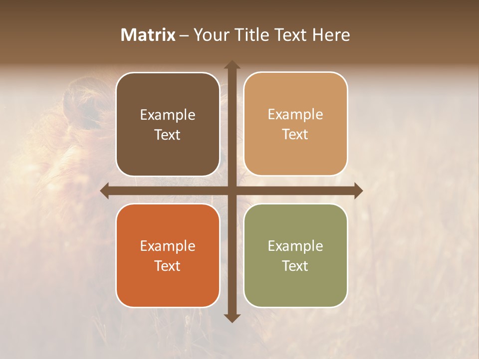 Hair Africa Wild PowerPoint Template