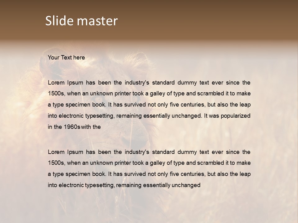 Hair Africa Wild PowerPoint Template