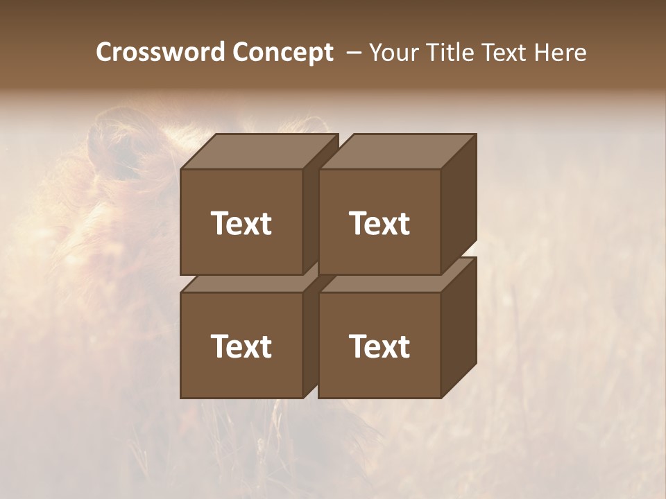 Hair Africa Wild PowerPoint Template