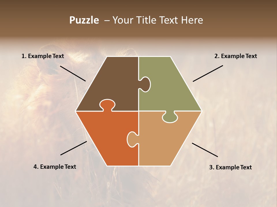 Hair Africa Wild PowerPoint Template