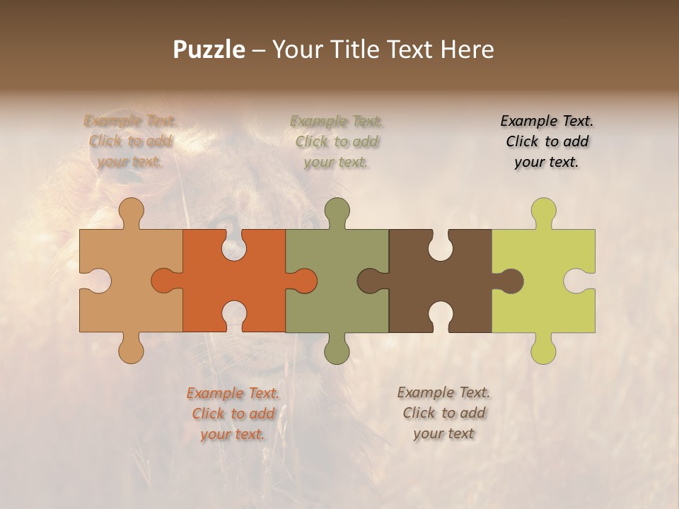 Hair Africa Wild PowerPoint Template