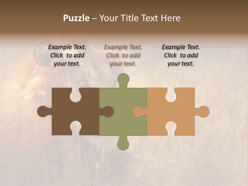 Hair Africa Wild PowerPoint Template