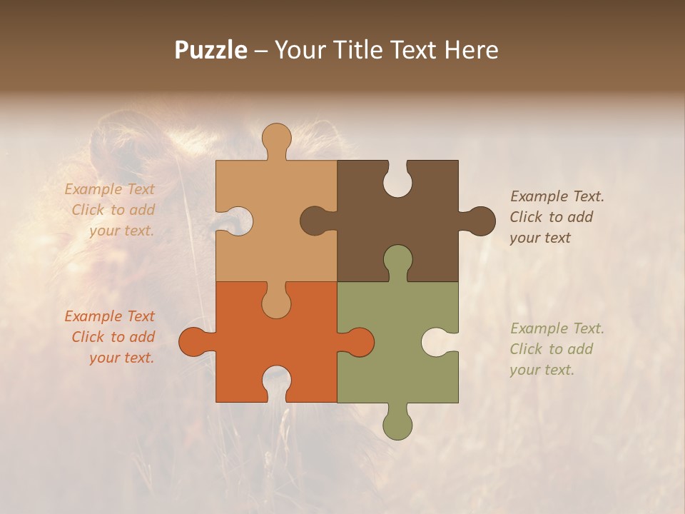 Hair Africa Wild PowerPoint Template