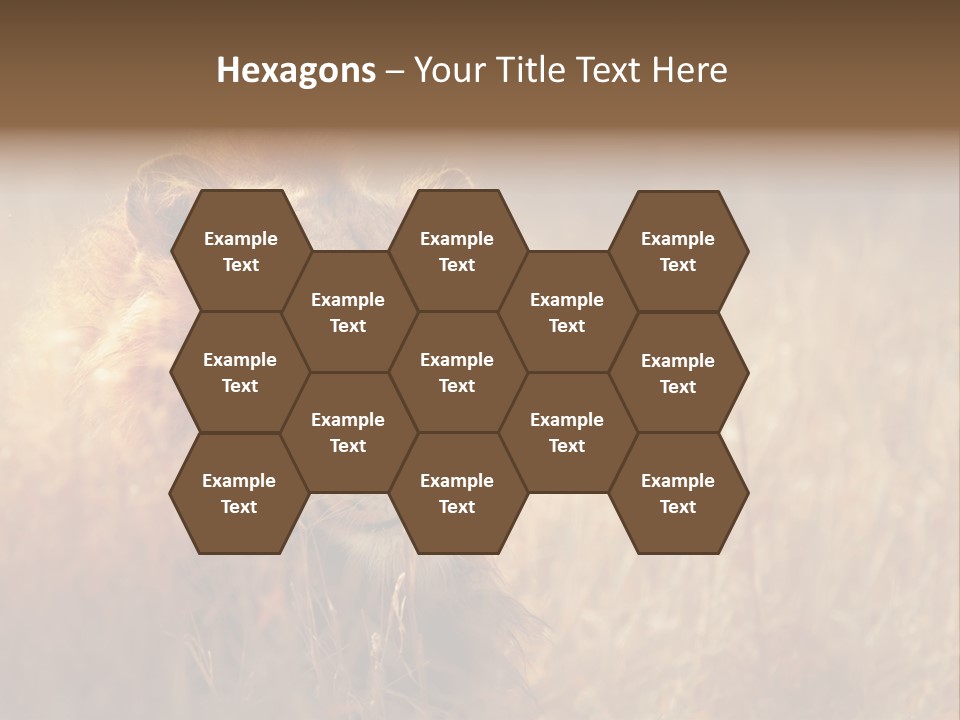 Hair Africa Wild PowerPoint Template