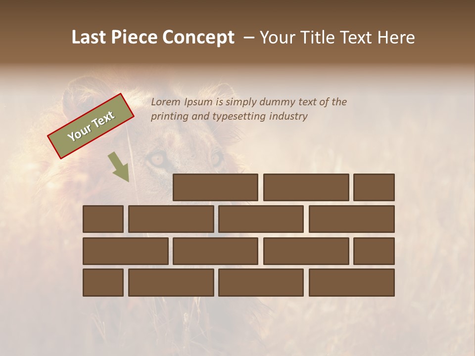 Hair Africa Wild PowerPoint Template