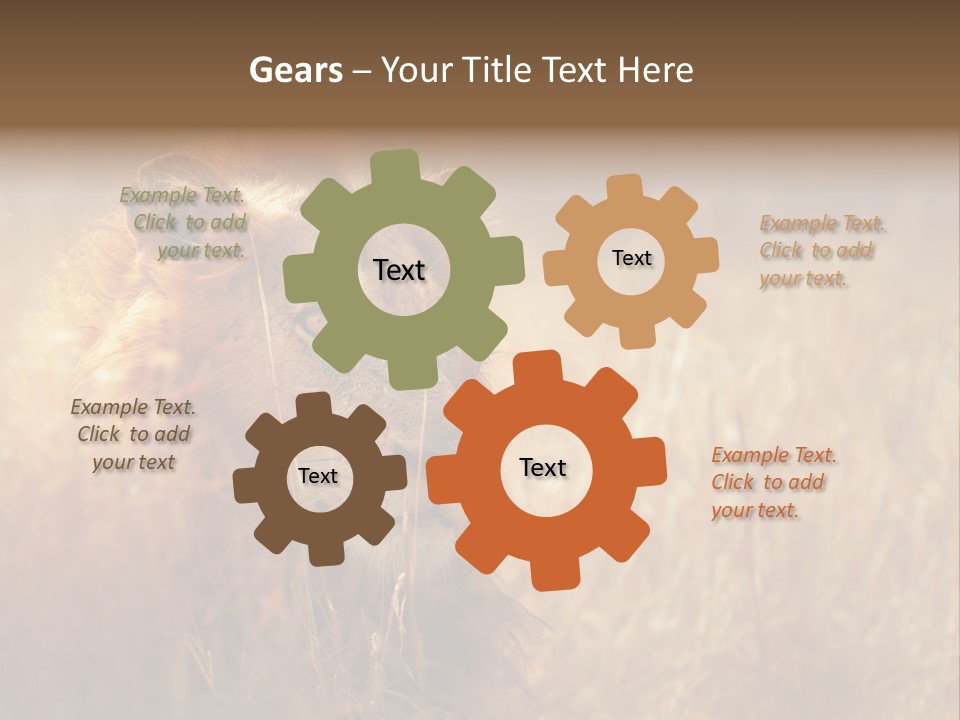 Hair Africa Wild PowerPoint Template