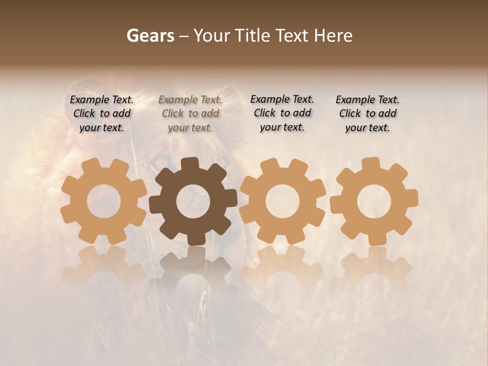 Hair Africa Wild PowerPoint Template