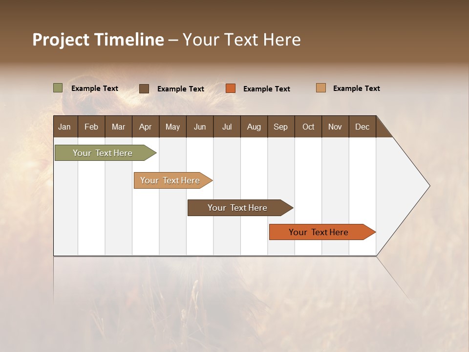 Hair Africa Wild PowerPoint Template