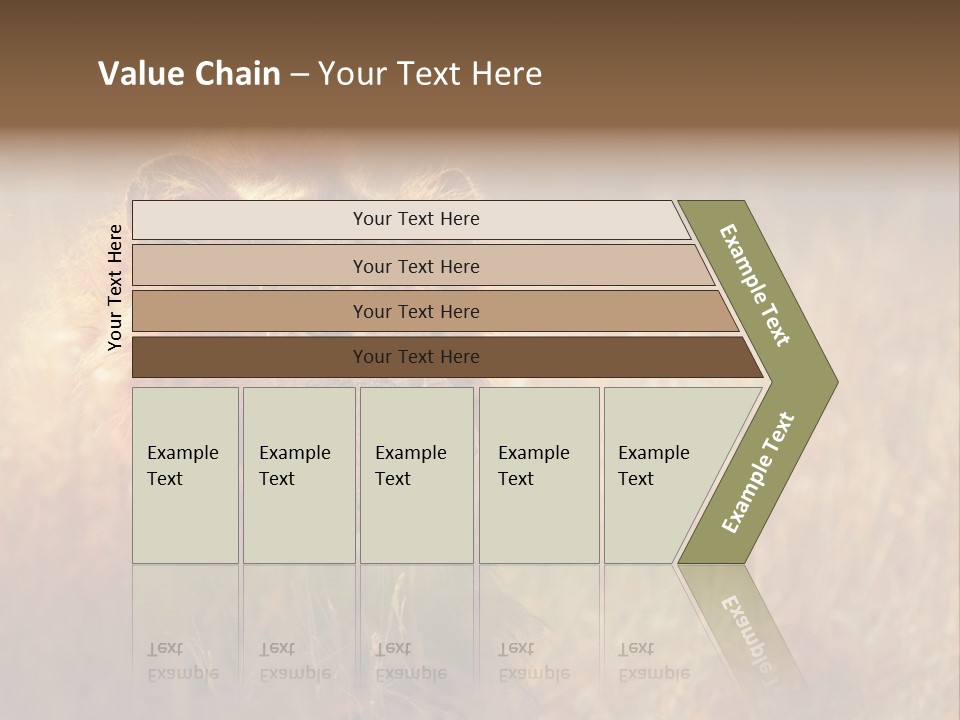 Hair Africa Wild PowerPoint Template