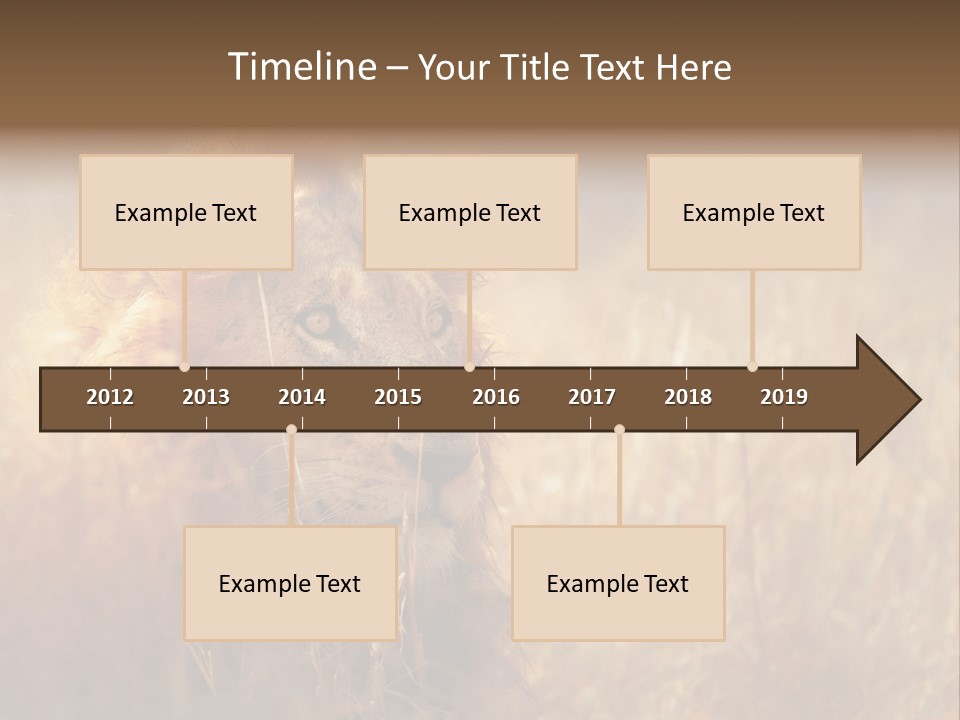 Hair Africa Wild PowerPoint Template