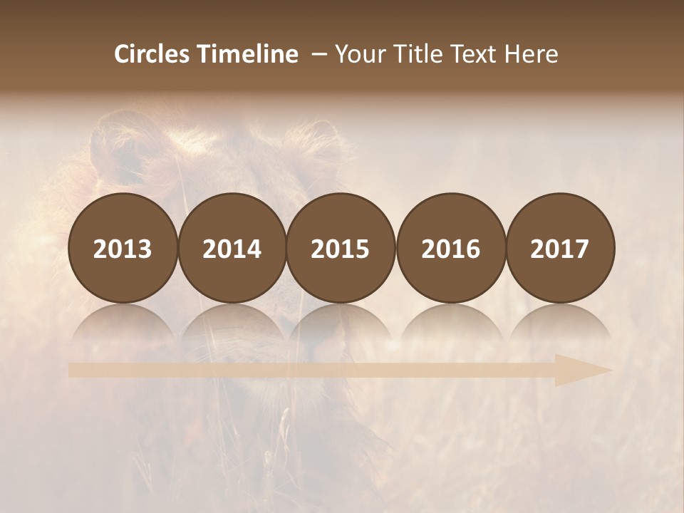 Hair Africa Wild PowerPoint Template