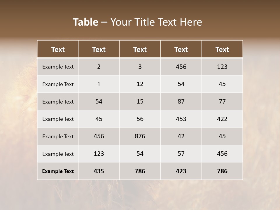 Hair Africa Wild PowerPoint Template
