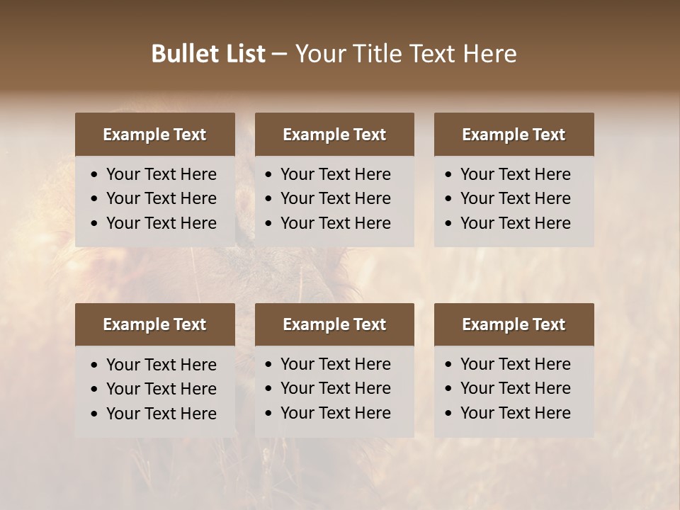 Hair Africa Wild PowerPoint Template