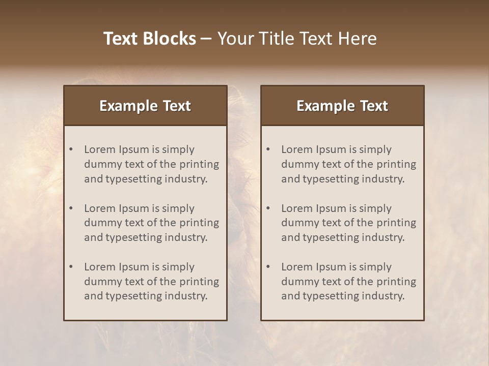 Hair Africa Wild PowerPoint Template