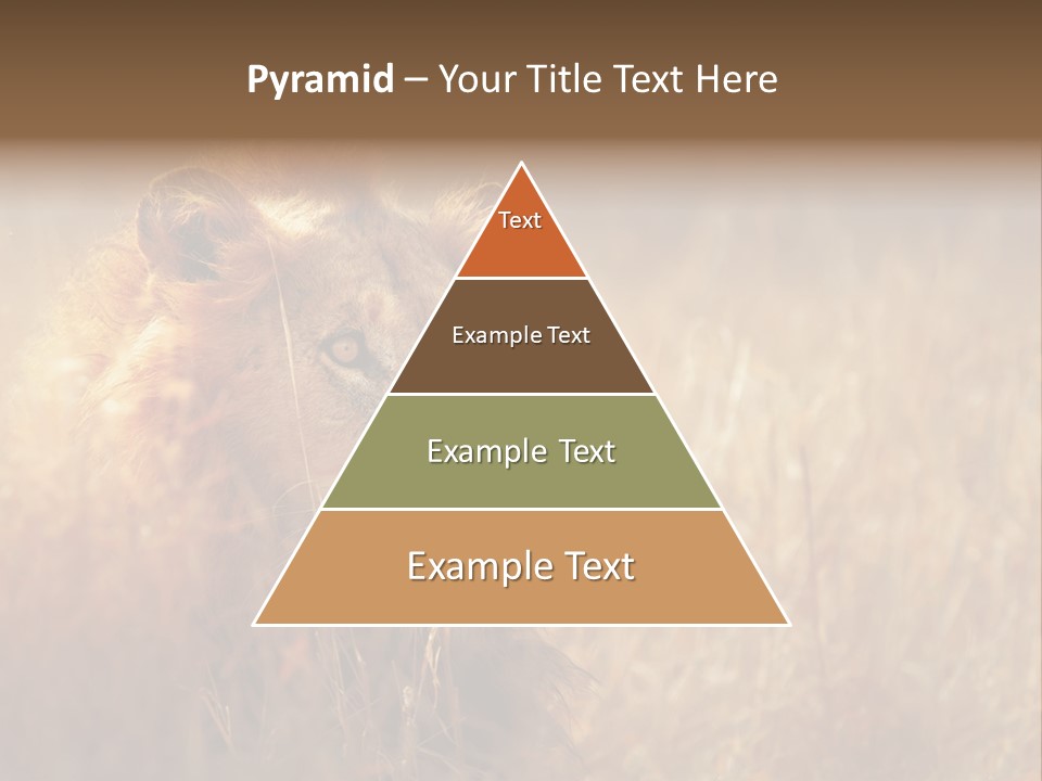 Hair Africa Wild PowerPoint Template