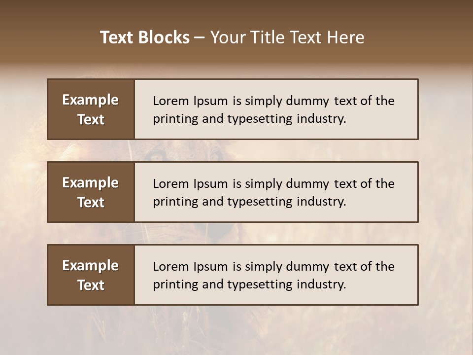 Hair Africa Wild PowerPoint Template