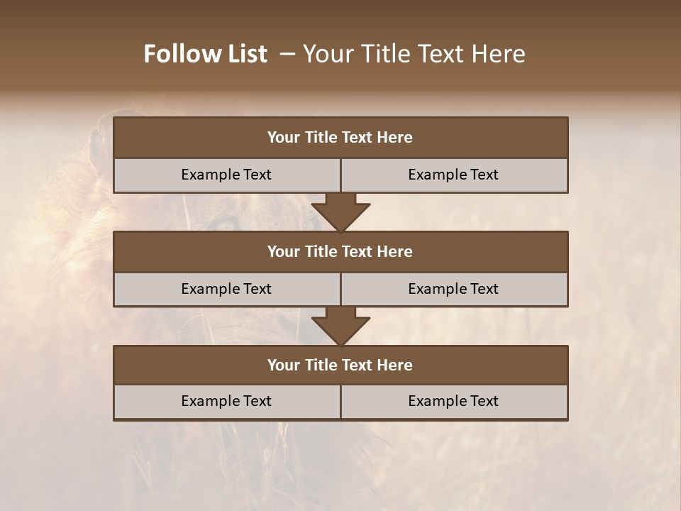 Hair Africa Wild PowerPoint Template