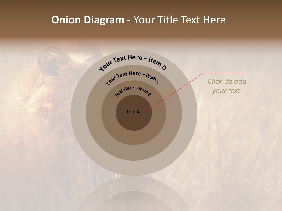 Hair Africa Wild PowerPoint Template