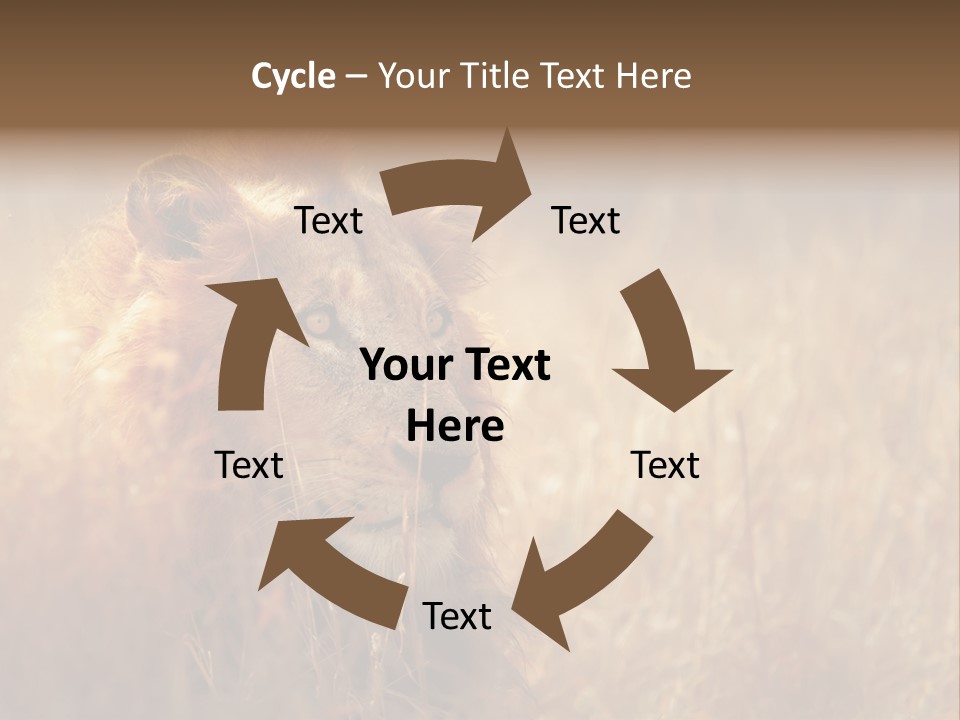 Hair Africa Wild PowerPoint Template