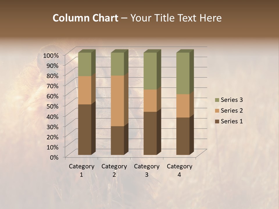 Hair Africa Wild PowerPoint Template