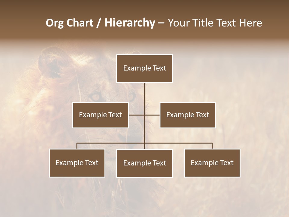 Hair Africa Wild PowerPoint Template