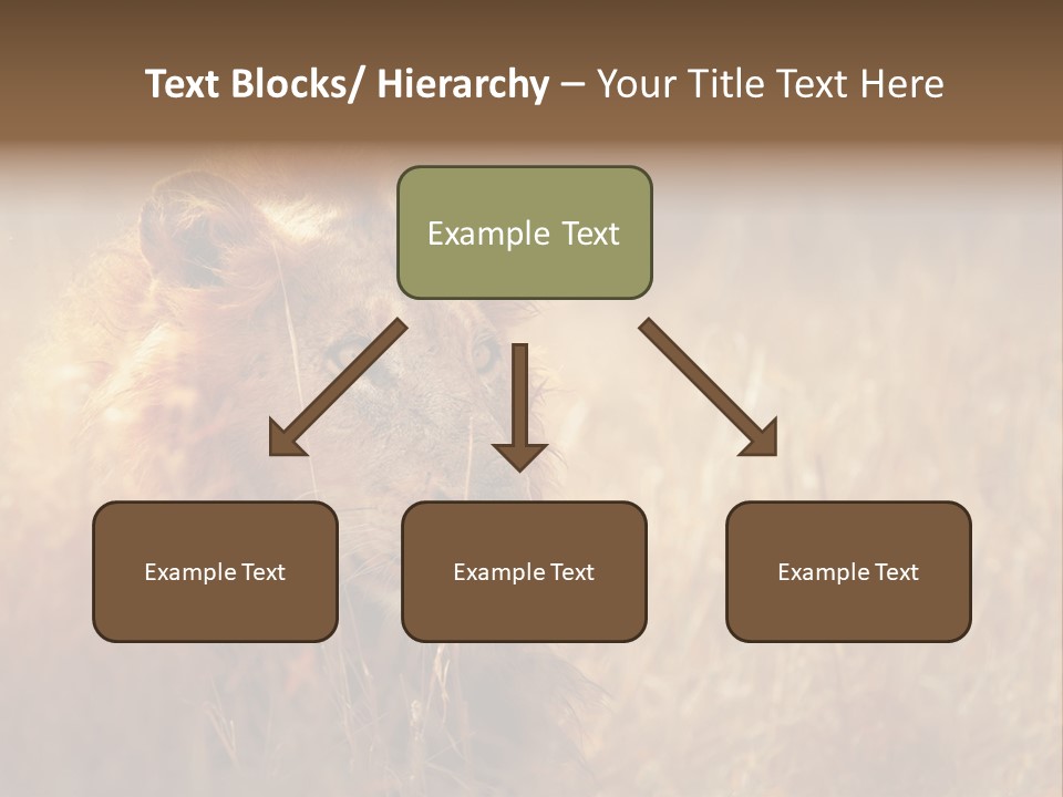 Hair Africa Wild PowerPoint Template