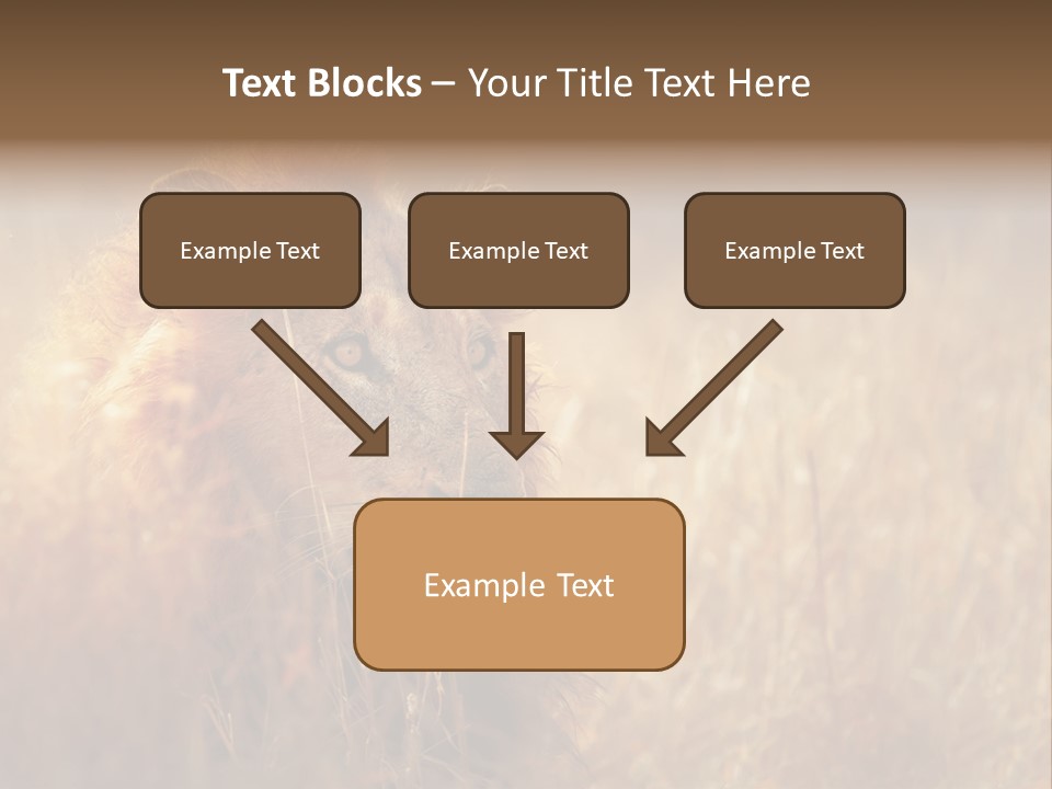 Hair Africa Wild PowerPoint Template
