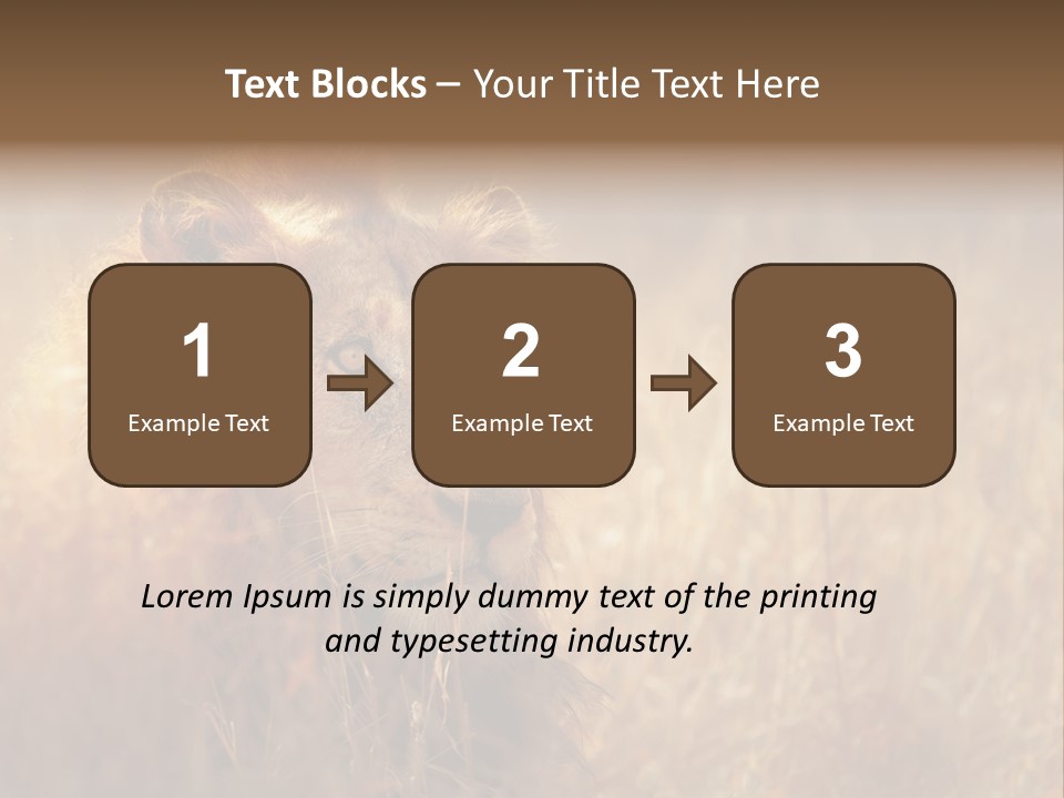 Hair Africa Wild PowerPoint Template