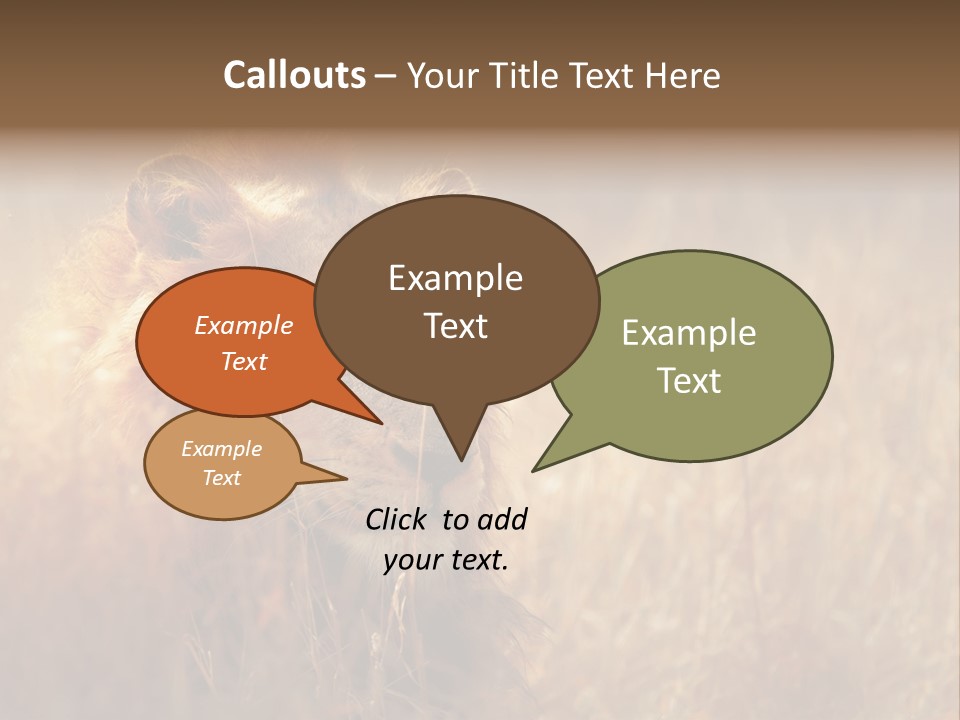 Hair Africa Wild PowerPoint Template