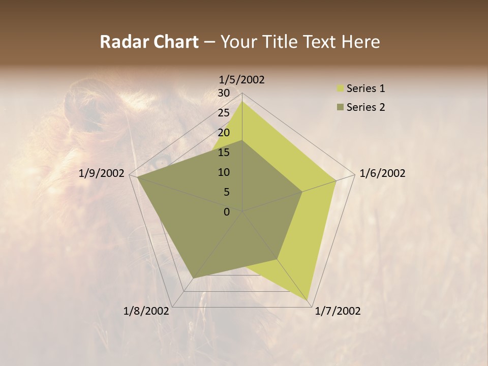 Hair Africa Wild PowerPoint Template