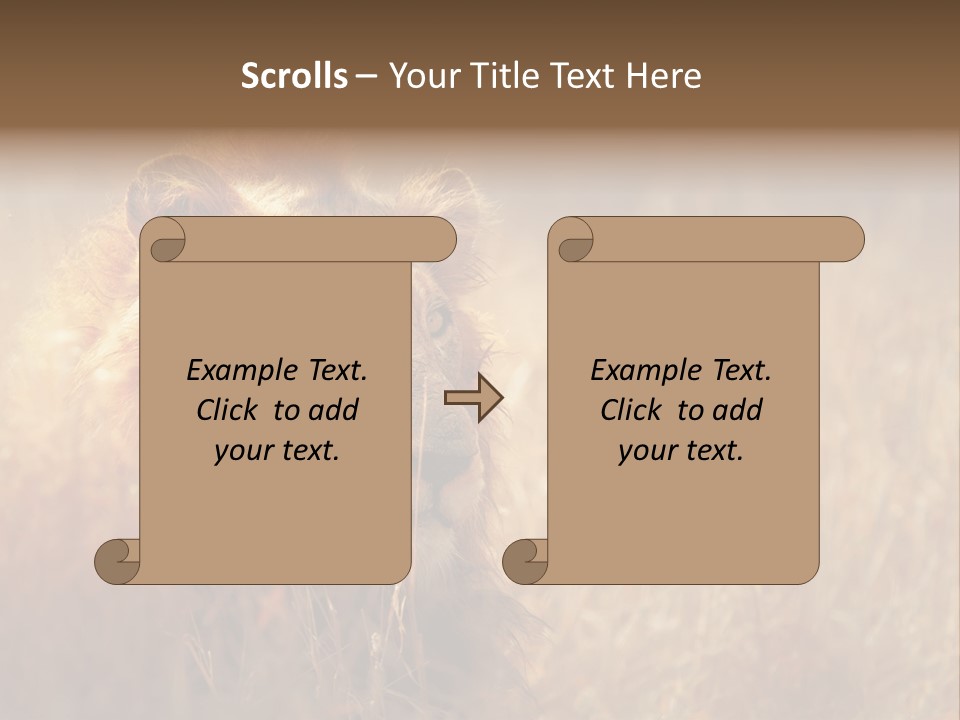 Hair Africa Wild PowerPoint Template