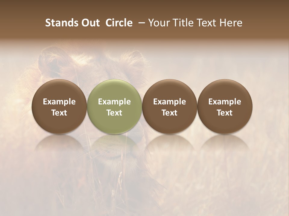 Hair Africa Wild PowerPoint Template