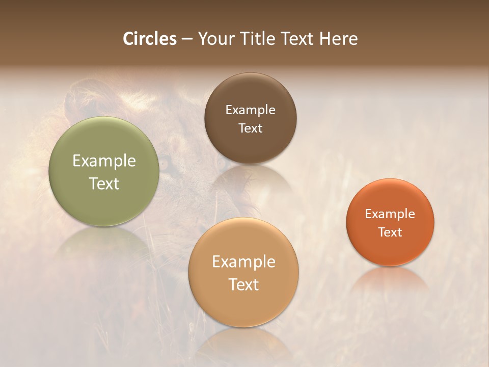 Hair Africa Wild PowerPoint Template