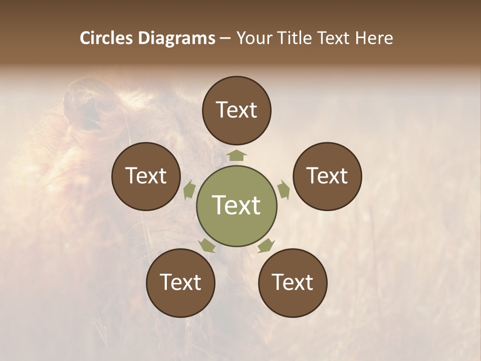 Hair Africa Wild PowerPoint Template