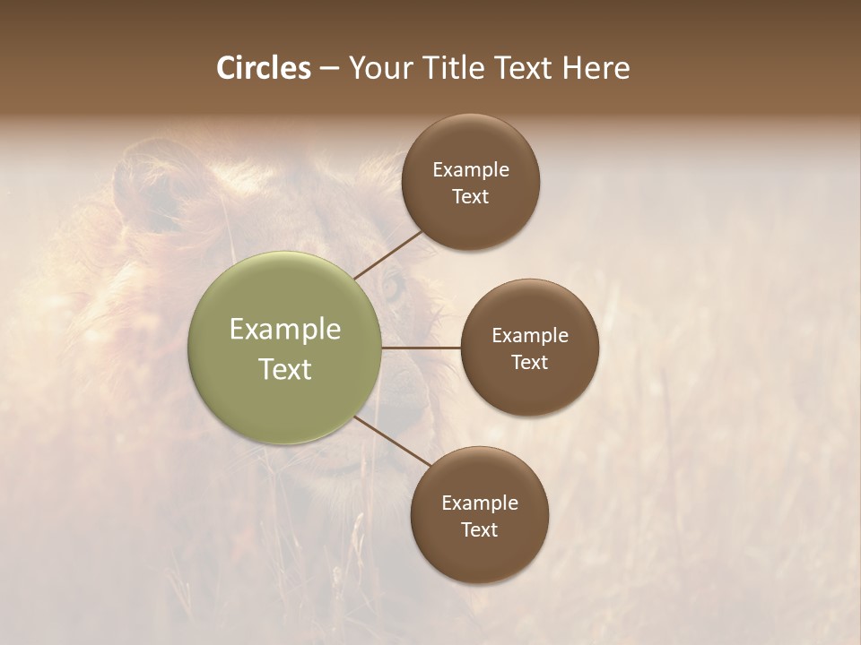 Hair Africa Wild PowerPoint Template