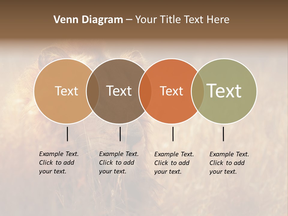 Hair Africa Wild PowerPoint Template