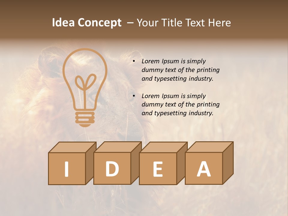 Hair Africa Wild PowerPoint Template