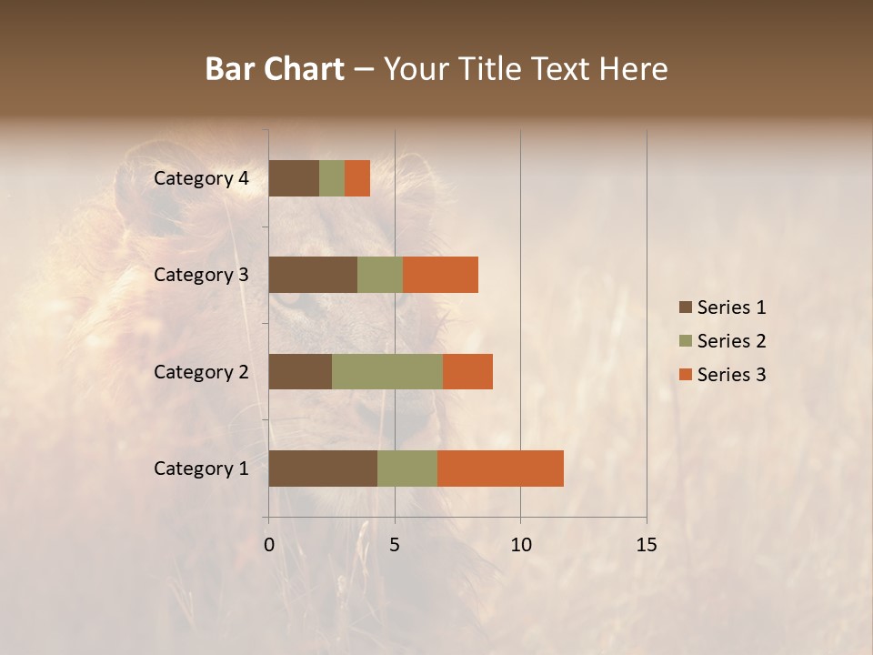 Hair Africa Wild PowerPoint Template