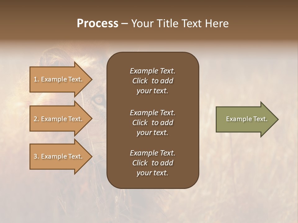 Hair Africa Wild PowerPoint Template