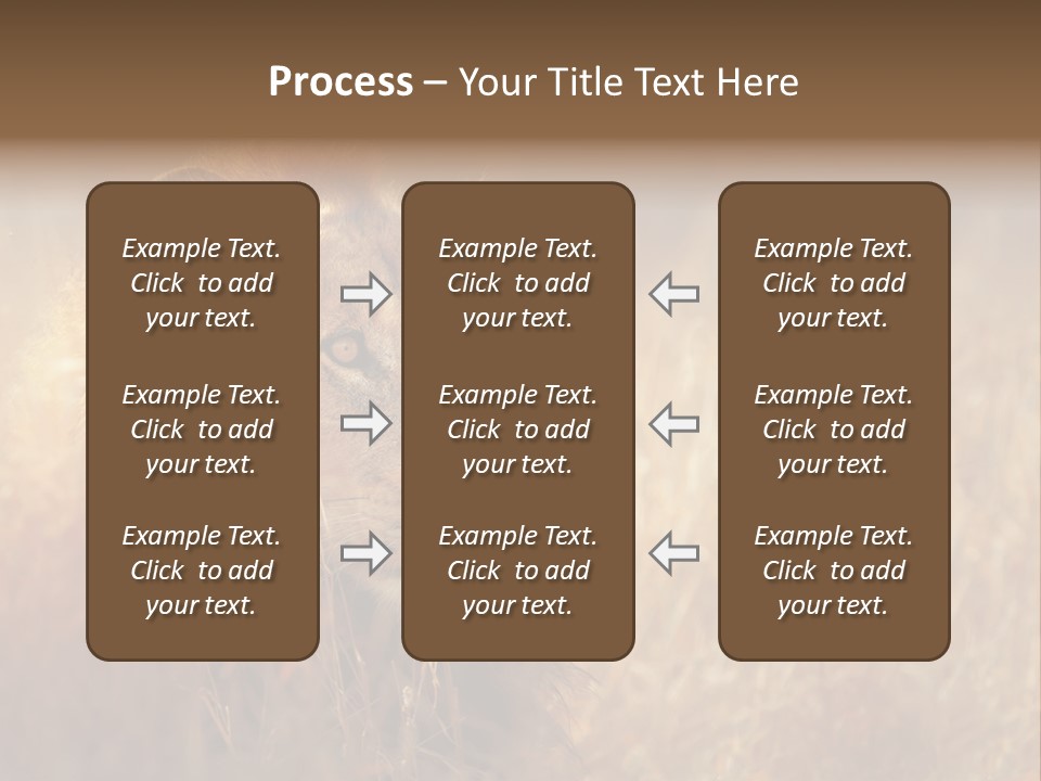 Hair Africa Wild PowerPoint Template