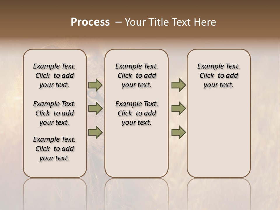 Hair Africa Wild PowerPoint Template