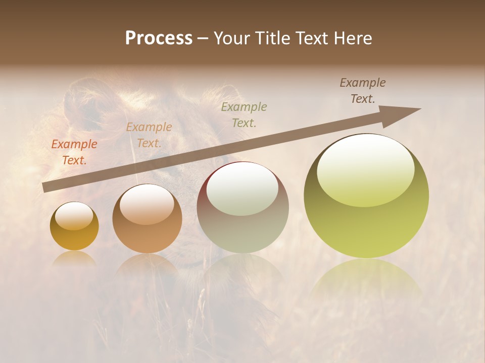 Hair Africa Wild PowerPoint Template