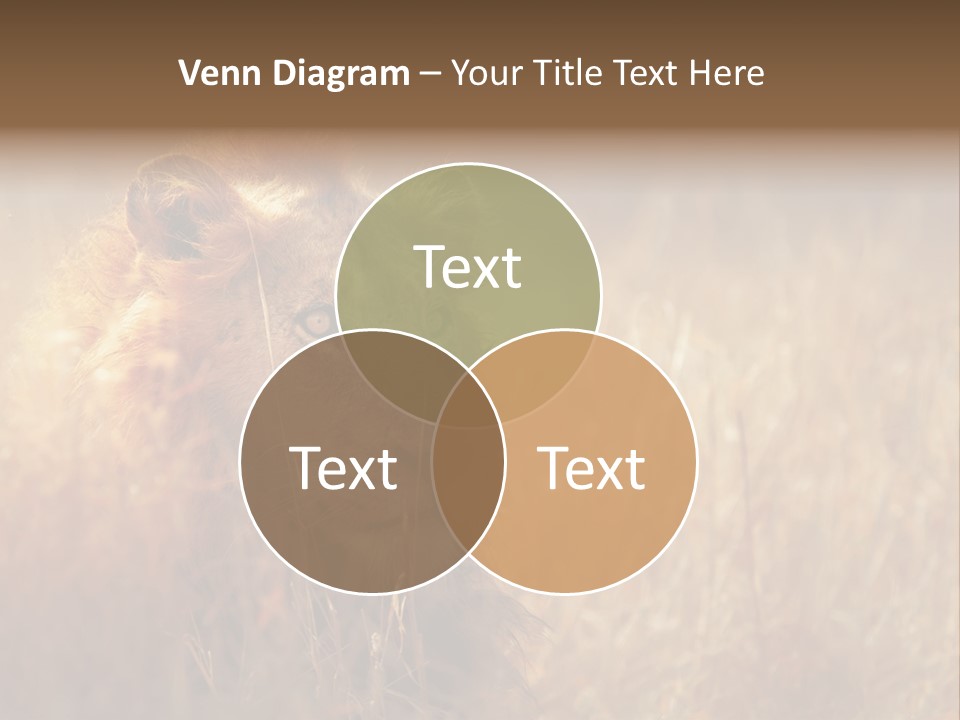 Hair Africa Wild PowerPoint Template