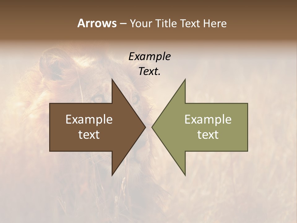 Hair Africa Wild PowerPoint Template