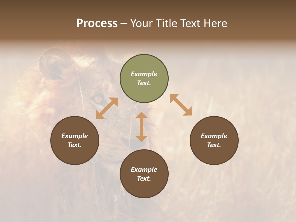 Hair Africa Wild PowerPoint Template