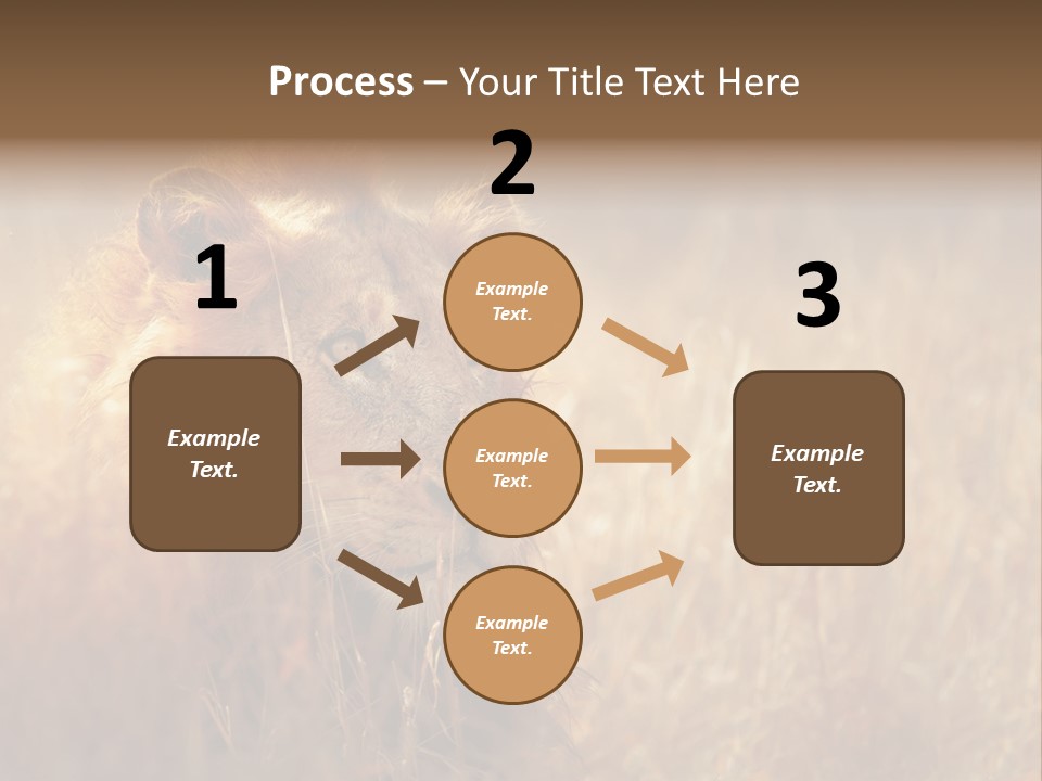 Hair Africa Wild PowerPoint Template