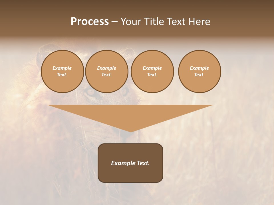 Hair Africa Wild PowerPoint Template