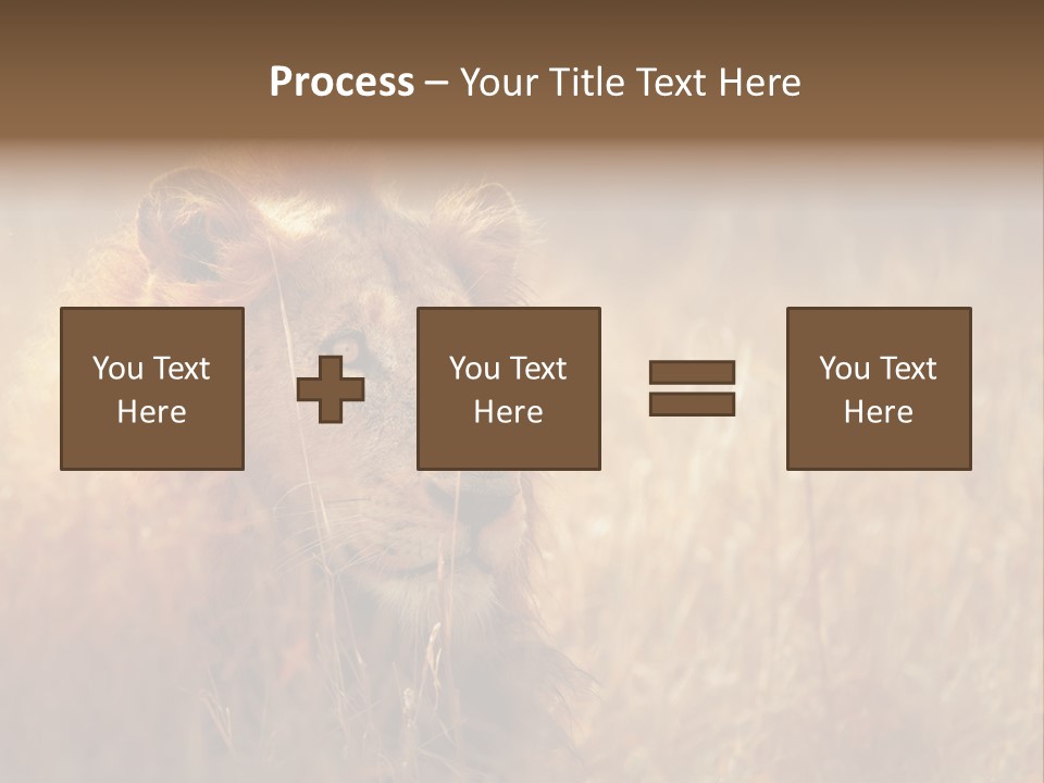 Hair Africa Wild PowerPoint Template